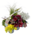 Herbst-Mix im Angebot bei toom Baumarkt in Schorndorf Herbst-Mix Angebote bei toom Baumarkt Schorndorf für 8,99 €
