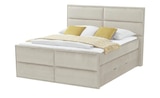 uno Boxspringbett mit Bettkasten Crocco im aktuellen Höffner Prospekt