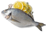 Dorade Royal von K-BLUE BAY für 4,99 € bei Kaufland im Angebot Dorade Royal von K-BLUE BAY im aktuellen Kaufland Prospekt