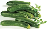 Zucchini im Angebot bei E xpress in München Zucchini Angebote bei E xpress München für 1,39 €