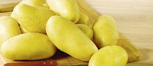 Casino Supermarchés Mantes-la-Jolie - Pomme de Terre de Consommation Agata Promo Pomme de Terre de Consommation Agata dans le catalogue Casino Supermarchés "Le mois Casino Magic !!" à Mantes-la-Jolie