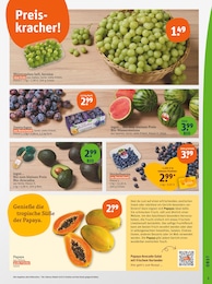 Zwetschgen Angebot & Preis im aktuellen tegut Prospekt Zwetschgen Angebot im aktuellen tegut Prospekt auf Seite 5