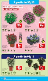 Chrysanthèmes Angebote im Prospekt "LES ARRIVAGES BONS PLANS DE LA SEMAINE" von Aldi auf Seite 20