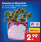 Glücksklee im Glitzerwürfel im aktuellen Netto Marken-Discount Prospekt