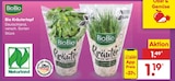 Kräutertopf im Angebot bei Netto Marken-Discount in Magdeburg Kräutertopf Angebote von BioBio bei Netto Marken-Discount Magdeburg für 1,19 €