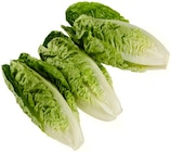 Aktuelles Romana Salatherzen Angebot bei REWE in Dortmund ab 1,11 €