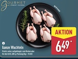 Ganze Wachteln von Gourmet Finest Cuisine im aktuellen ALDI Nord Prospekt