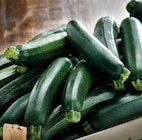 Courgette - Intermarché à Montpellier Courgette en promo chez Intermarché Montpellier à 1,39 €