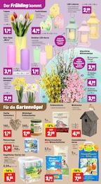 Meisenknödel Angebot im aktuellen Thomas Philipps Prospekt auf Seite 3