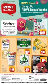 REWE Supermarkt Prospekt der aktuellen Woche mit 29 Seiten, gültig von 13.10.2025 bis 18.10.2025, in Essen und Umgebung Aktueller REWE Supermarkt Prospekt in Essen und Umgebung, "Dein Markt" mit 29 Seiten, 13.10.2025 - 18.10.2025