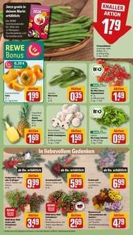Blumen im aktuellen REWE Prospekt (Bremen) Blumen im REWE Prospekt "Dein Markt" mit 22 Seiten (Bremen)