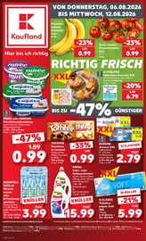 Persil im Kaufland Prospekt in Borken Aktueller Kaufland Prospekt mit Persil, "Hier bin ich richtig", Seite 10