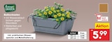 Aktuelles Balkonkasten Angebot bei Netto Marken-Discount in Bielefeld ab 5,99 €