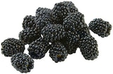 Aktuelles Brombeeren Angebot bei REWE in München ab 1,69 €