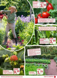 Salat im Garten-Center Nordharz GmbH & Co. KG Prospekt "Der Sommer kann kommen…" mit 12 Seiten (Hannover)
