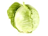 Weißkohl im Angebot bei Thomas Philipps in Halle Weißkohl Angebote bei Thomas Philipps Halle für 1,89 €