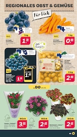 Aktueller Netto mit dem Scottie Prospekt mit Kartoffeln, "Günstig. Besser. Für Dich.", Seite 3