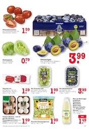 Pilze im EDEKA Prospekt in Frankfurt Aktueller EDEKA Prospekt mit Pilze, "Aktuelle Angebote", Seite 11