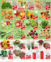 Aktueller Kaufland Prospekt mit Kartoffeln, "Aktuelle Angebote", Seite 11