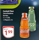 Tequila Sunrise im Angebot bei GLOBUS in Gera Tequila Sunrise Angebote bei GLOBUS Gera für 1,99 €