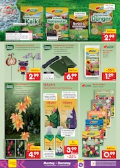 Dekoration im Netto Marken-Discount Prospekt in Hameln Aktueller Netto Marken-Discount Prospekt mit Dekoration, "Aktuelle Angebote", Seite 48