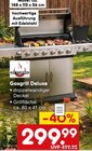 Aktuelles Gasgrill Deluxe Angebot bei Netto Marken-Discount in Ulm ab 299,99 €