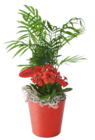 Composition De 2 Plantes + Pot De Cover en promo chez Auchan Hypermarché Saint-Maur-des-Fossés à 10,99 €