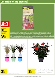 Offre Rosier dans le catalogue Carrefour du moment à la page 84