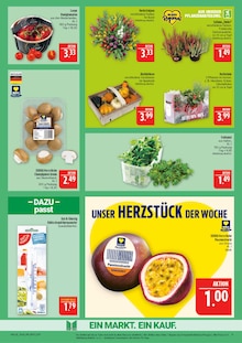 Tomaten im Marktkauf Prospekt "AUSWAHL RIESIG, PREISE NIEDRIG" mit 44 Seiten (Nürnberg)