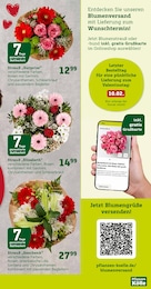 Pflanzen Kölle Blumen im Prospekt 