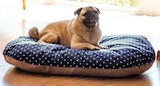 Hundebetten Baumwolle abgesteppt im Globus-Baumarkt Prospekt Hundebetten Baumwolle abgesteppt von im aktuellen Globus-Baumarkt Prospekt fĂŒr 9,99 âŹ