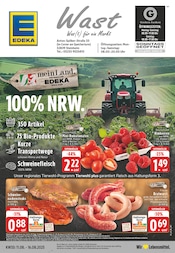Aktueller EDEKA Supermarkt Prospekt in Steinheim und Umgebung, "Aktuelle Angebote" mit 24 Seiten, 11.08.2025 - 16.08.2025