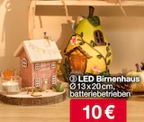 LED Birnenhaus Angebote bei Woolworth Ingolstadt für 10,00 €
