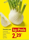 Fenchel, lose im Lidl Prospekt Fenchel, lose im aktuellen Lidl Prospekt für 2,29 €