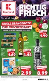 Vodka im Kaufland Prospekt in Reutlingen Aktueller Kaufland Prospekt mit Vodka, "KNÜLLER", Seite 1