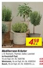toom Baumarkt Hechingen - Mediterrane Kräuter Angebot im Prospekt Mediterrane Kräuter bei toom Baumarkt im Hechingen Prospekt für 4,59 €