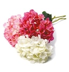 Aktuelle Hortensie Angebote bei Netto mit dem Scottie in Cottbus Aktuelles Künstlicher Hortensienzweig Angebot bei Netto mit dem Scottie in Cottbus ab 2,99 €