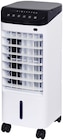 Ventilateur rafraichisseur d'air mobile - DOMAIR à 69,90 € dans le catalogue Weldom