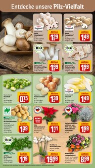 Gemüse im aktuellen REWE Prospekt (Paderborn) Gemüse im REWE Prospekt "Dein Markt" mit 32 Seiten (Paderborn)