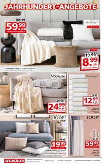 Kissen im Segmüller Prospekt "100 Jahre Jubiläumsfinale bei Segmüller" mit 40 Seiten (Ulm)