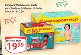 Windeln Angebote von Pampers bei GLOBUS Hanau für 19,99 €