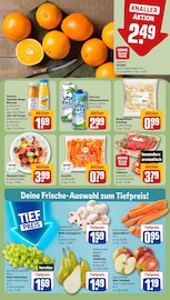 Ähnliche Terrarium Angebote im Prospekt "Dein Markt" von REWE in Köln Ähnliche Angebote wie Terrarium im Prospekt "Dein Markt" auf Seite 10 von REWE in Köln