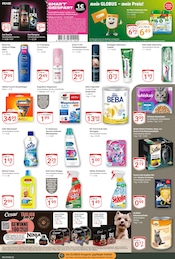 Nivea im GLOBUS Prospekt in Herne Aktueller GLOBUS Prospekt mit Nivea, "Aktuelle Angebote", Seite 15