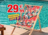 Bazarland Bagnols-sur-Cèze - Promo Chilienne Promo Chilienne à 24,99 € dans le catalogue Bazarland à Bagnols-sur-Cèze